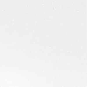 WAC Landscape Lighting, Cone LED 12V Deck and Patio Light 2700K Warm Built-in LED in White