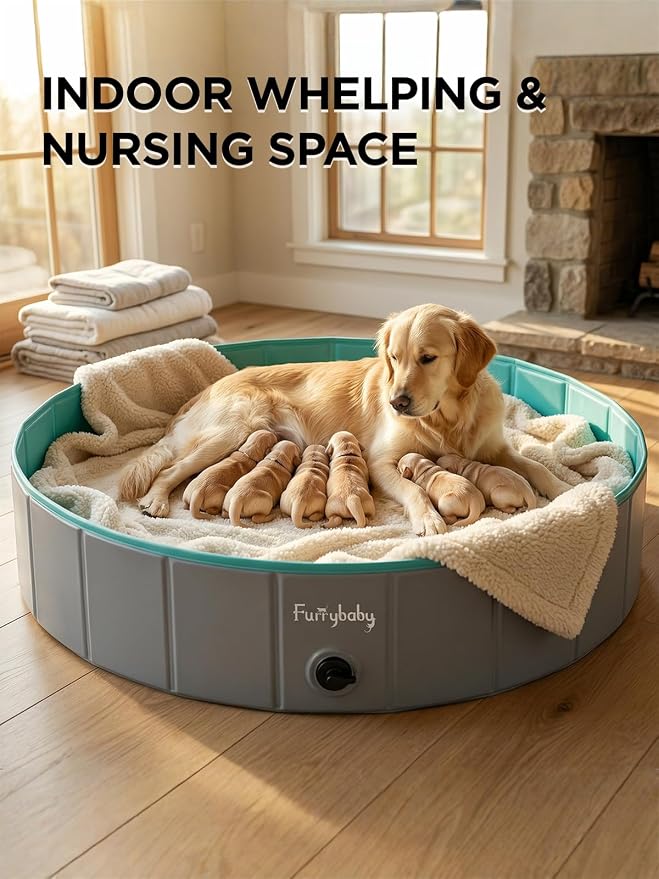 Furrybaby Dog Pool, Kiddie Pool Hard Plastic Foldable Dog Pools for Large Dogs Portable Pet Doggie Wading Swimming (Grey 47'') Indoor and Outdoor