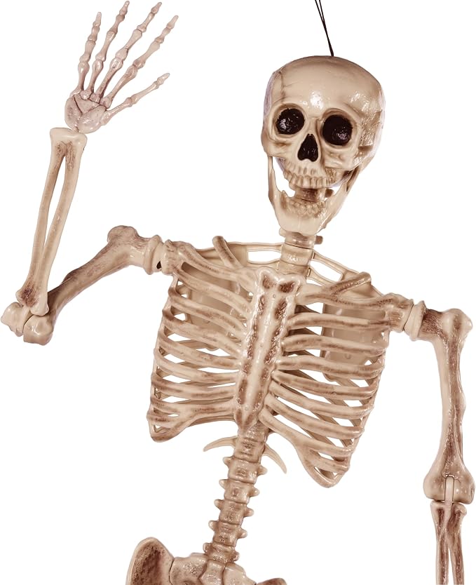 JOYIN 5.6 FT Halloween Posable Life Size Skeleton, Full Body Realistic Bones with Movable Joints, Giant Skeletons Halloween Decorations for Indoor Outdoor Haunted House Props, Spooky Scene Party Decor