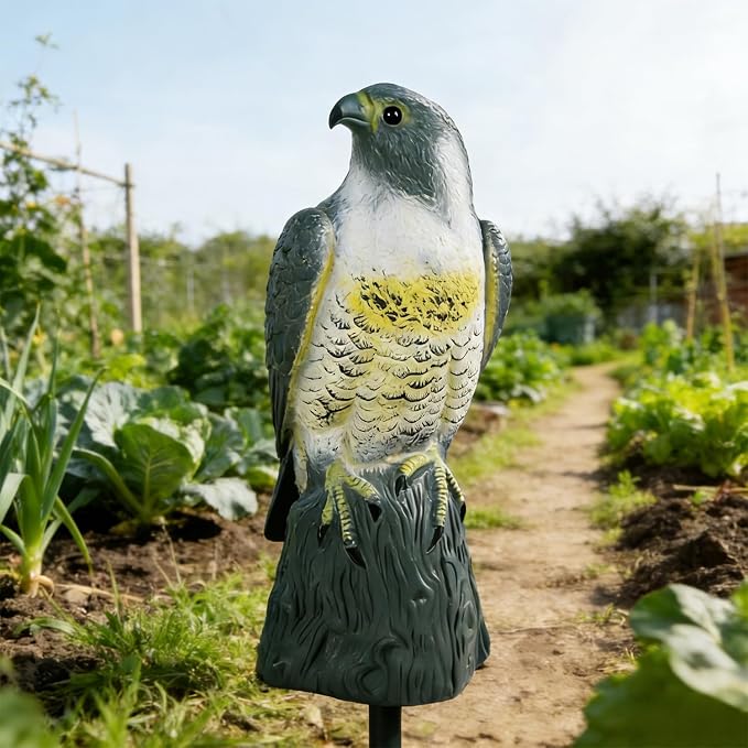 Hausse Scarecrow Eagle Fake Hawk Decoy Statue Scare Birds Away, Plastic Deterrents, Garden Protectors Bird Repellent, Nature Enemy Bird Repellent for Outdoor Garden Yard