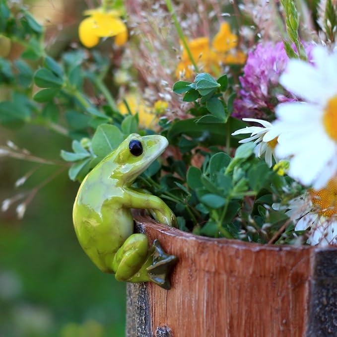 Top Collection Miniature Fairy Garden and Terrarium Frog Flower Pot and Vase Hugger, Mini