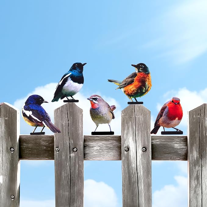 HUYIENO 5PCS Vivid Metal Birds Fence Decor 2D Dual Side Color Painted Outdoor Garden Natural Bird Sculptures for Outdoor Fences, Patio, Garden and Bird Lovers