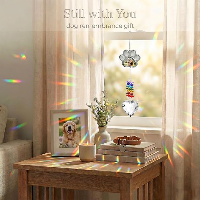 Dog Memorial Gifts for Loss of Dog, Personalized Pet Memorial Suncatcher with Paw Photo Frame, Pet Loss Sympathy Gift, Dog and Cat Remembrance Bereavement Passing Away Keepsake with Memorial Bracelet