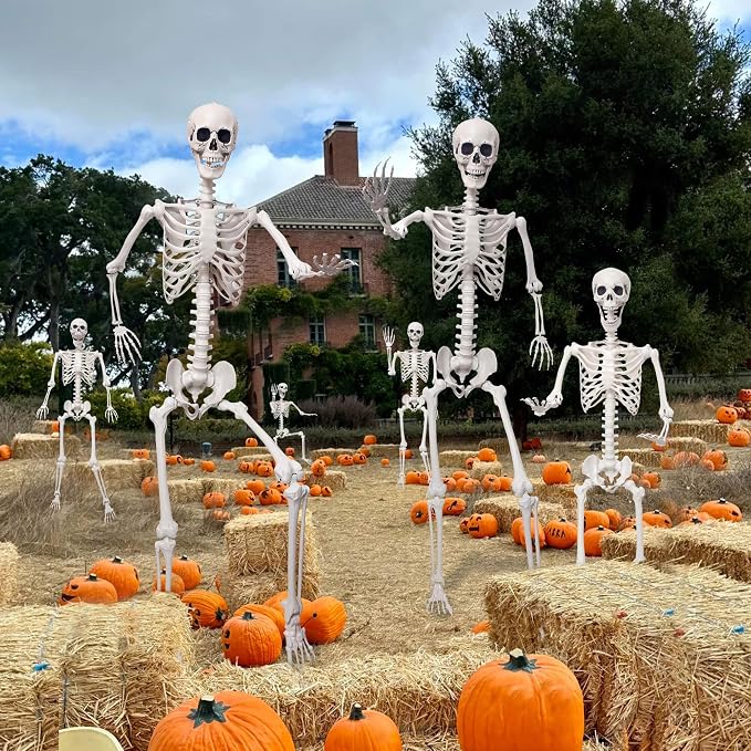 7.9Ft Giant Skeleton Life Size Human Bones with Movable Joints for Halloween Decorations