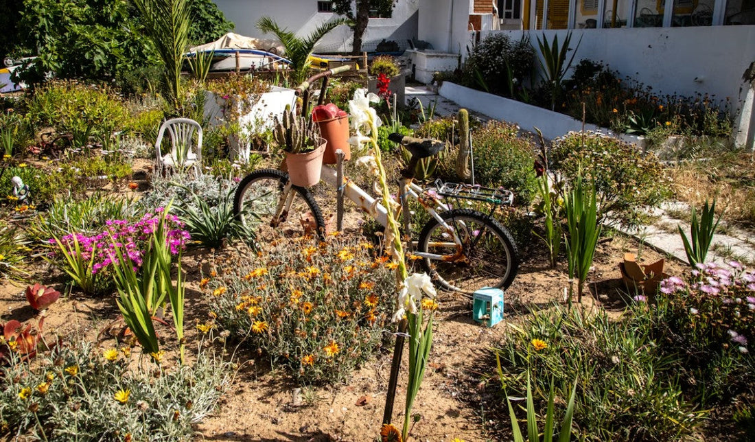 10 Ways to Protect Your Garden During a Heatwave