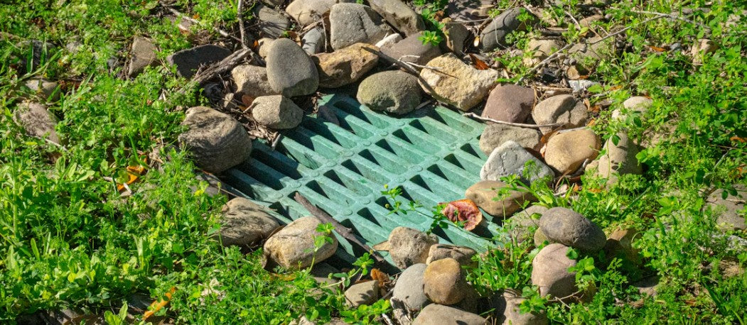 Rain Barrel Installation Guide: Save Water &amp; Create an Eco-Friendly Garden