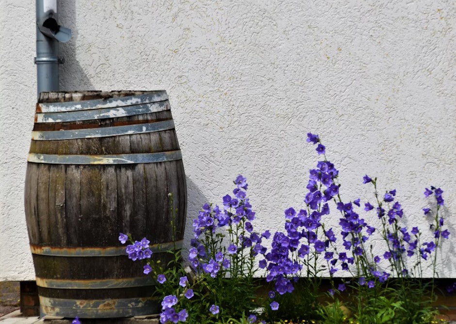 Rain Barrel Installation Guide: Save Water & Create an Eco-Friendly Garden