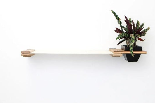 Catastrophic Creations Cat Planter Lounge Cat Hammock — 25-Inch Onyx Bamboo/Natural Canvas— Cat Wall Shelf— Cat Wall Furniture — Cat Climbing Shelves — Cat Floating Shelves — Cat Wall Hammock