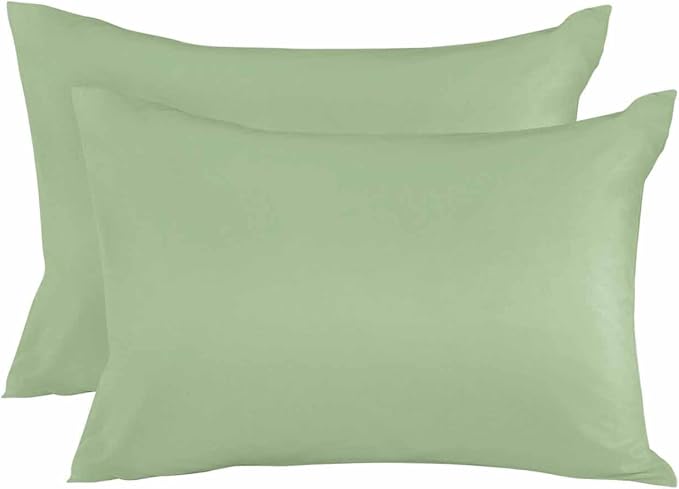 Outdoor Waterproof Throw Pillows Light Green Watercolor Patio Pillows Pack of 2,Decorative Pillow Covers with Insert,Pillow Cushion Case for Garden Couch Sofa Solid Color