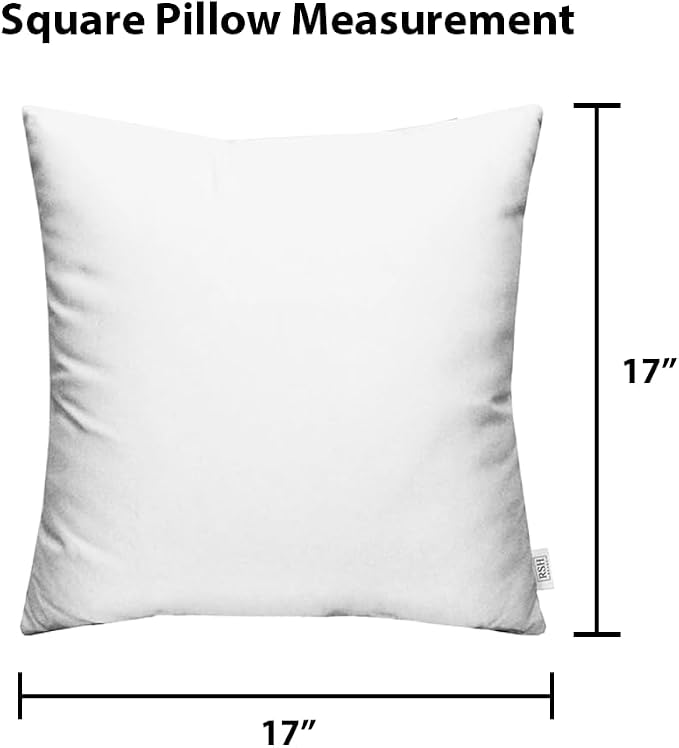RSH DECOR Square Throw Pillows Set of 2, 17x17 Inch Decorative Pillows for Couch, Water-Resistant Patio Furniture Pillows, All-Weather Spun Fabric, Canvas Rust - Made in USA