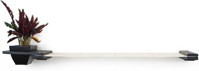 Catastrophic Creations Cat Planter Lounge Cat Hammock — 41-Inch Onyx Bamboo/Natural Canvas— Cat Wall Shelf— Cat Wall Furniture — Cat Climbing Shelves — Cat Floating Shelves — Cat Wall Hammock