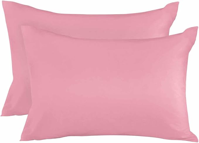 Outdoor Waterproof Throw Pillows Minimalist Solid Pure Pink Patio Pillows Pack of 2,Decorative Pillow Covers with Insert,Pillow Cushion Case for Garden Couch Sofa Unadorned Single Color Art