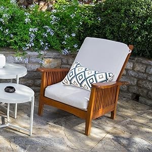 JMGBird Outdoor Accent Pillows Outdoor Lumbar Pillows with Inserts (Pack of 2)