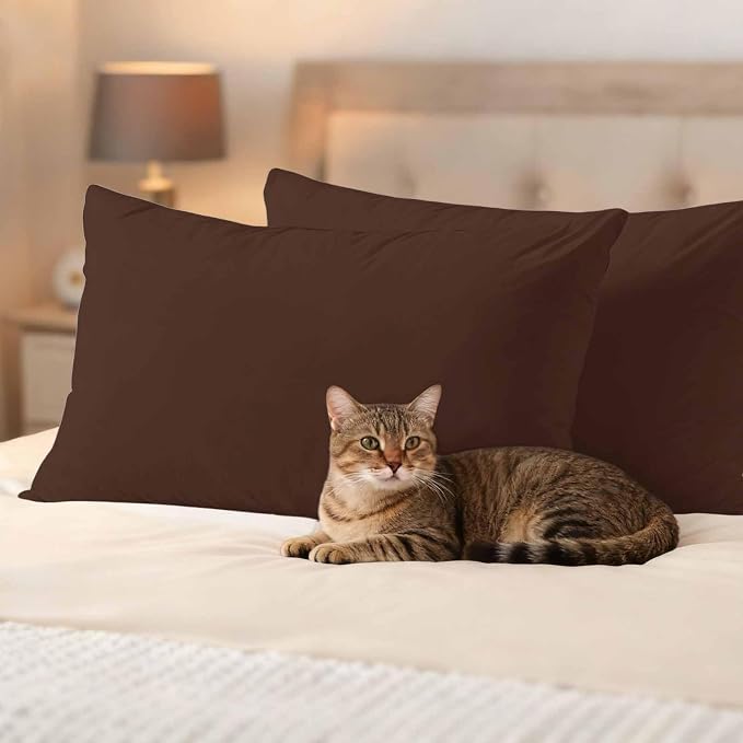 Lumbar Pillow Covers 12 x 20 Inches, Brown Pure Color Waterproof Throw Pillow Cover Set of 2, Aesthetics Contemporary Luxury Decorative Rectangle Cushion Covers for Patio/Couch/Garden