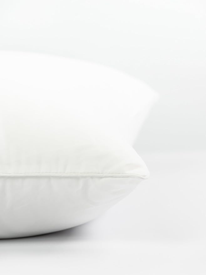 Crumbs Home Throw Pillow Inserts Set of 2, 24"x24" (for Cover Size 22"x22") Water Repllent Synthetic Down Alternative Sham Stuffer for Indoor Outdoor Use, Karate-Chop Effect