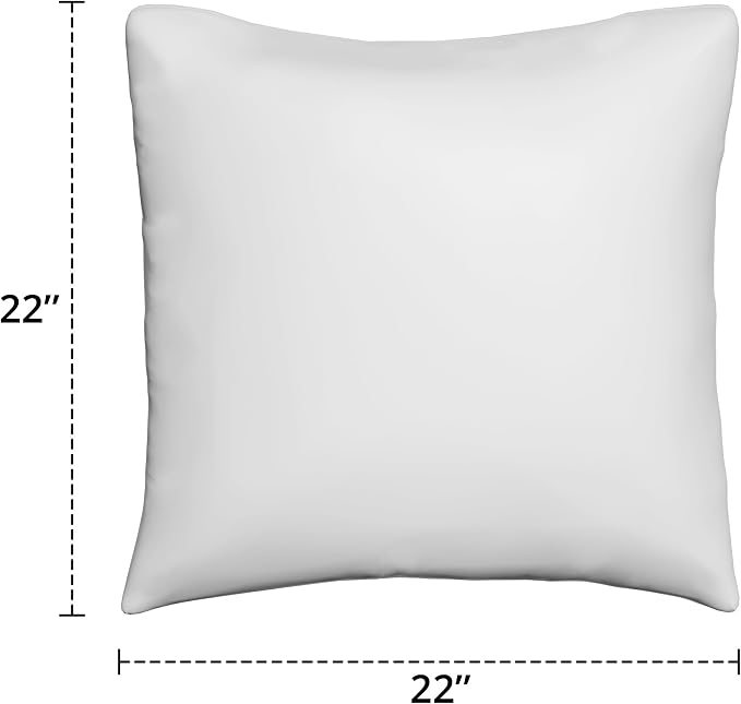 Covers & All Sunbrella Throw Pillows Set of 2, 22 x 22 Inch Square Outdoor & Indoor Cushions with Insert, Fade & UV Resistant Fabric (Canvas Aruba)