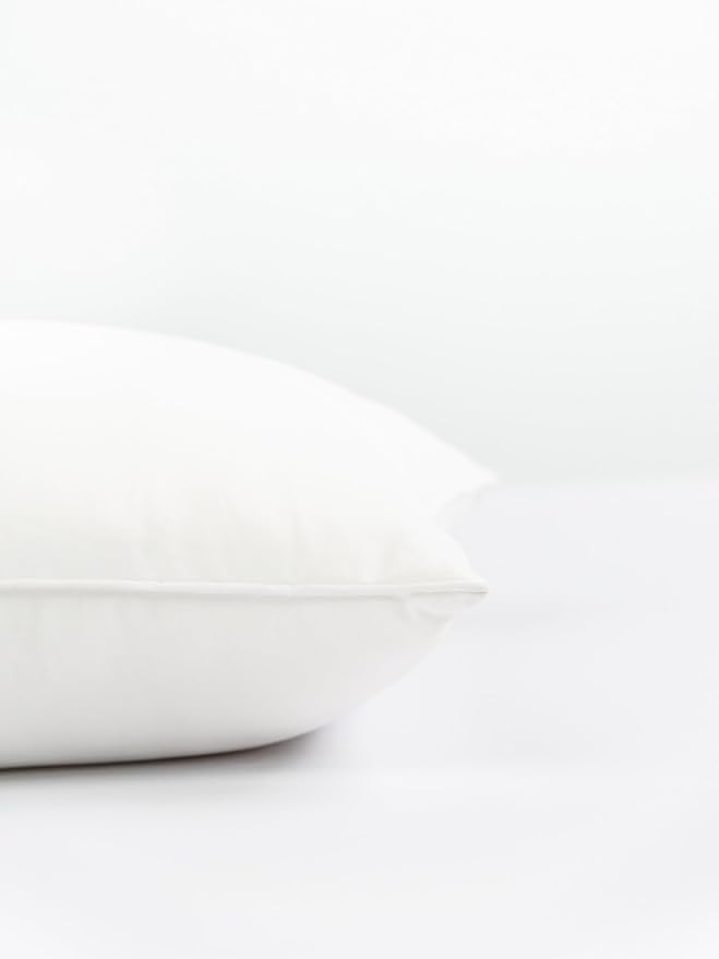 Crumbs Home Lumbar Pillow Inserts Set of 2, 13"x21" (for Cover Size 12"x20") Water Repllent Synthetic Down Alternative Sham Stuffer for Indoor Outdoor Use, Karate-Chop Effect