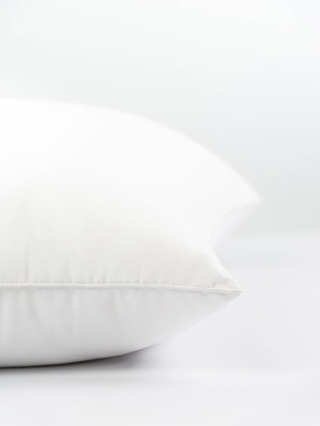 Crumbs Home Throw Pillow Inserts Set of 2, 22"x22" (for Cover Size 20"x20") Water Repllent Synthetic Down Alternative Sham Stuffer for Indoor Outdoor Use, Karate-Chop Effect