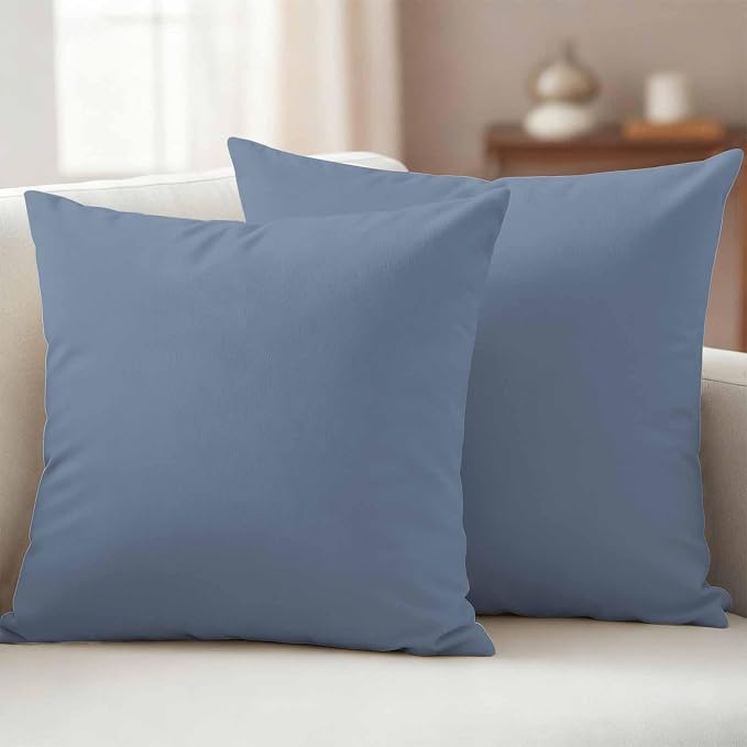 Outdoor Pillow Covers 20 x 20 Inches, Blue Pure Color Waterproof Throw Pillow Cover Set of 2, Aesthetics Contemporary Luxury Decorative Square Cushion Covers for Patio/Couch/Garden