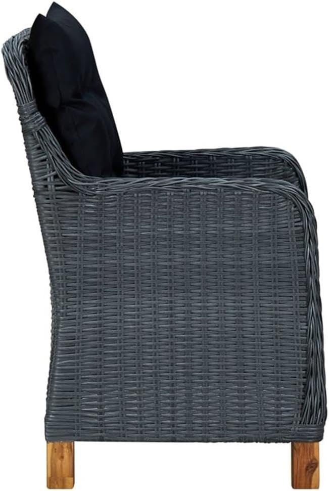 Afuera Living 9-Piece Outdoor Dining Set, Dark Gray PE Rattan, Weather-Resistant, Includes Rectangular Table and 8 Armchairs with Cushions, Contemporary Patio or Garden Furniture for Outdoor