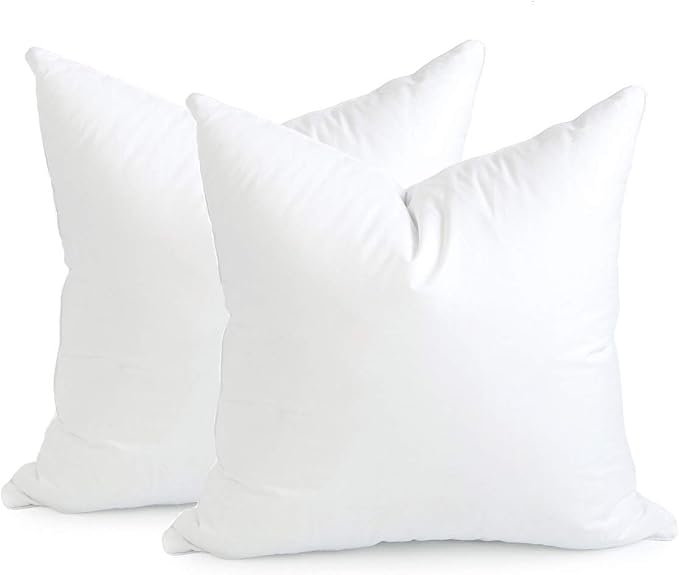 Hofdeco Premium Throw Pillow Inserts Set of 2, 22"x22" (for Cover Size 20"x20") Water Resistant Synthetic Down Alternative Sham Stuffer for Patio, Bench, Garden, White