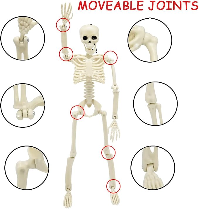 6 Packs Halloween Skeletons, 16 Inch Posable Skeletons for Halloween Props | Mini Plastic Skeleton for Yard Garden Lawn Haunted House Graveyard Decor