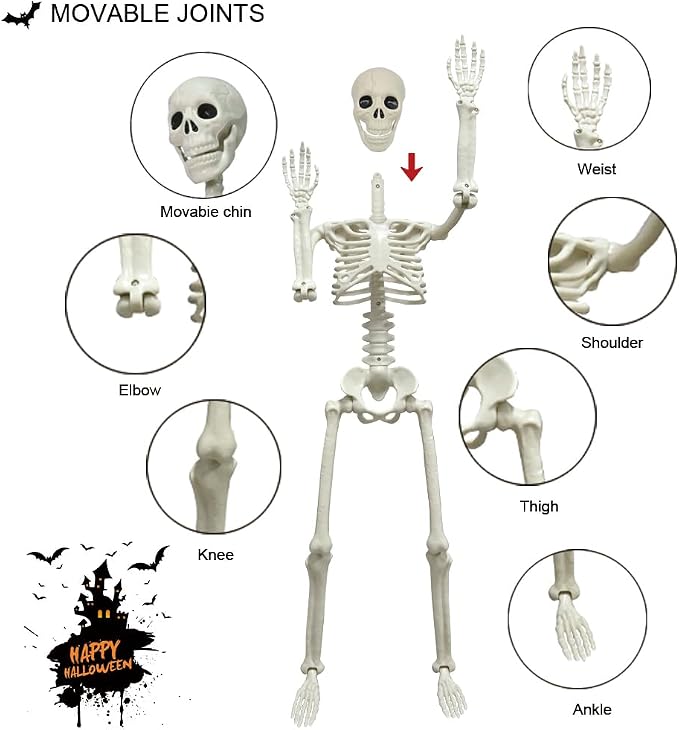 2 Pack 36in Posable Plastic Skeleton Halloween Decor - 3 ft Halloween Decor | Full Body Plastic Skeletons with Posable Joints, Perfect for Spooky Halloween Yard Patio Lawn Indoor Decor Party Photo Props