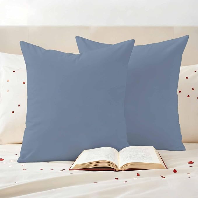 Outdoor Pillow Covers 20 x 20 Inches, Blue Pure Color Waterproof Throw Pillow Cover Set of 2, Aesthetics Contemporary Luxury Decorative Square Cushion Covers for Patio/Couch/Garden