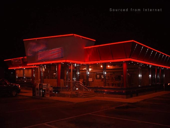 TORCHSTAR 50ft LED Neon Rope Light, Red LED Strip Lights | Outdoor IP67 Waterproof, 120V UL Plug, ETL Connectable, Neon Light Strip for Shop Sign, Patio Decor, Max 2 Sets (100FT)