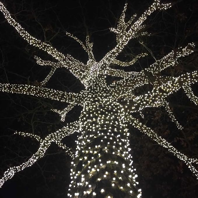Novelty Lights 50ft 100 LED Pure White Christmas String Lights, Green Wire