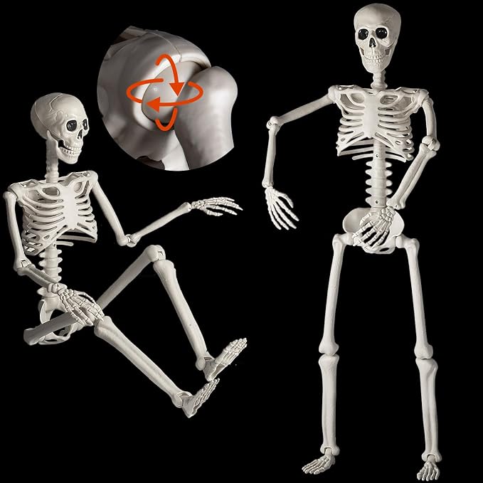 HBSTK 2Pack 36 Inches Pose-N-Stay Halloween Skeleton Life Size Full Body Posable Movable Jonints for Halloween Decoration Decor