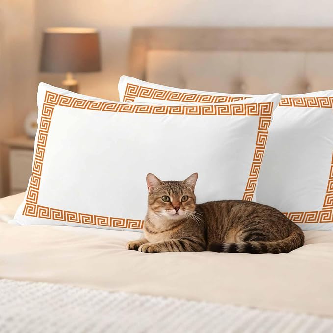Outdoor Pillow Covers Set of 2, Abstract Greek Inspired Art Decorative Throw Pillow Covers 20X12IN, Orange Twist Line Key Pattern Throw Pillows Protector Cushion Case for Patio,Couch,Sofa,Garden