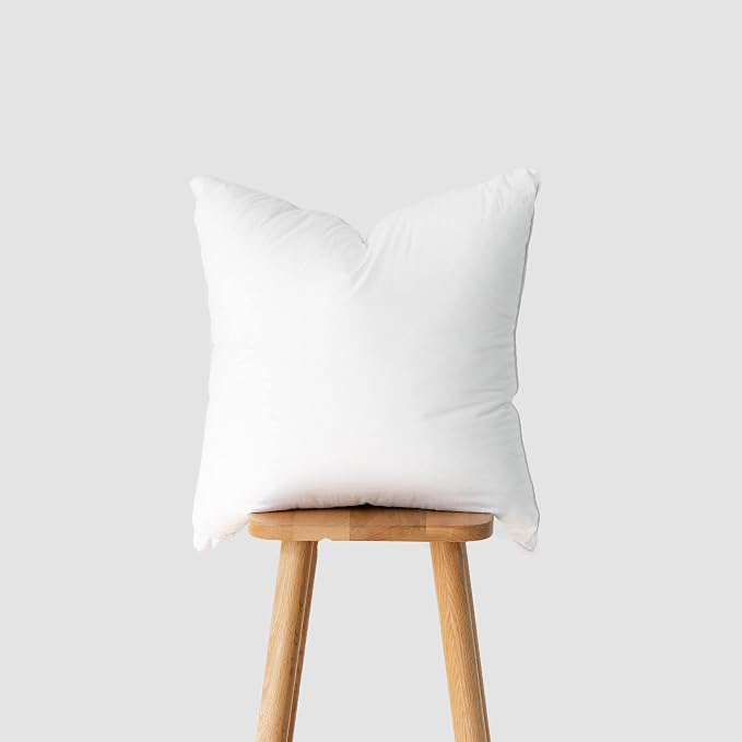 Hofdeco Premium Throw Pillow Inserts Set of 2, 20"x20" (for Cover Size 18"x18") Water Resistant Synthetic Down Alternative Sham Stuffer for Patio, Bench, Garden, White
