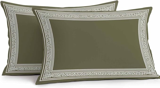 Olive Green Greek Key Waterproof Outdoor Pillow Covers Set of 2 Home Decor, Geometric Greece Ancient Farmhouse Geo Pillowcase Patio Pillow Covers for Couch Bench Furniture Garden 20x12in