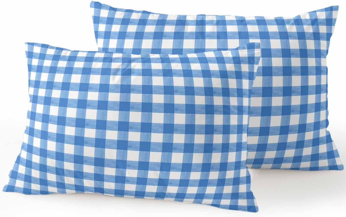 Outdoor Waterproof Throw Pillows Light Blue Gingham Check Patio Pillows Pack of 2,Decorative Pillow Covers with Insert,Pillow Cushion Case for Garden Couch Sofa Country Classic Plaid