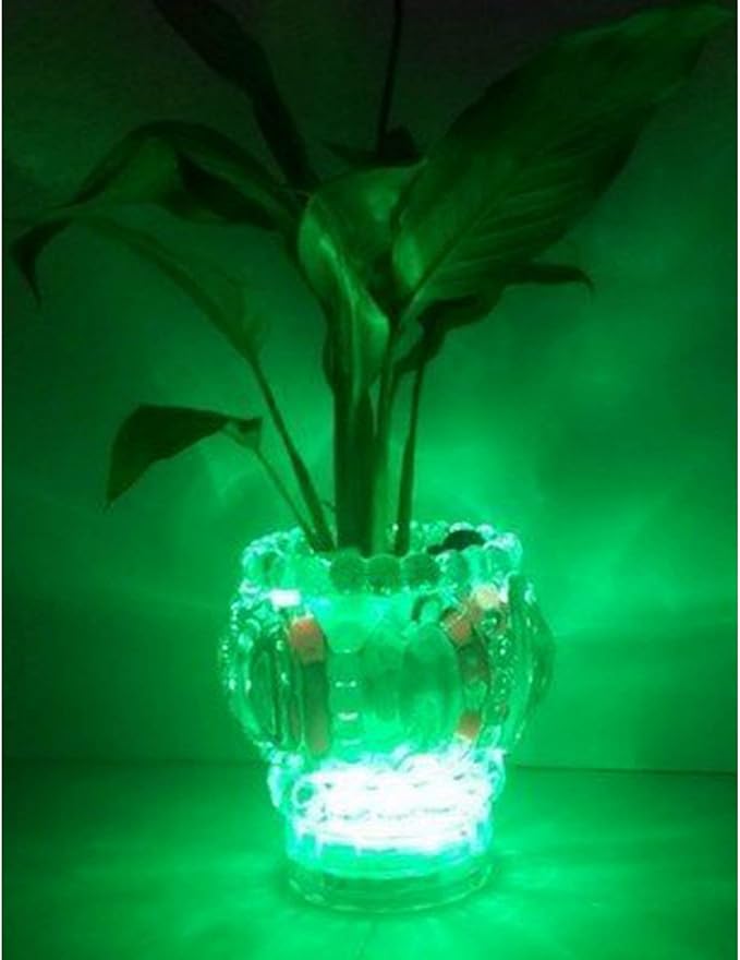 Halloween Pumpkin Lights Decoration,Flameless Led Candles,Diveable Tea Light, Party Decorative Lights, Pack of 12, Green