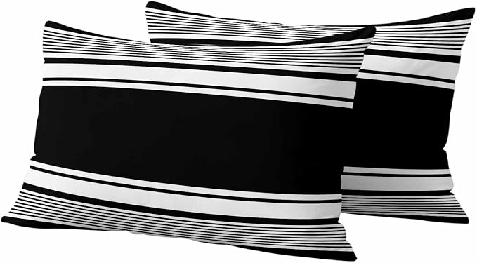 Outdoor Waterproof Throw Pillow Covers, Black Striped Decorative Pillow Cases, Modern Color Block Farmhouse Stripes Couch Pillow Protector Patio Sofa Cushion Covers Replacement 20"x12" 2 Pack