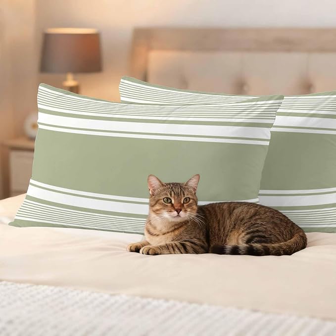 Outdoor Waterproof Throw Pillow Covers, Sage Green Striped Decorative Pillow Cases, Modern Color Block Farmhouse Stripes Couch Pillow Protector Patio Sofa Cushion Covers Replacement 20"x12" 2 Pack
