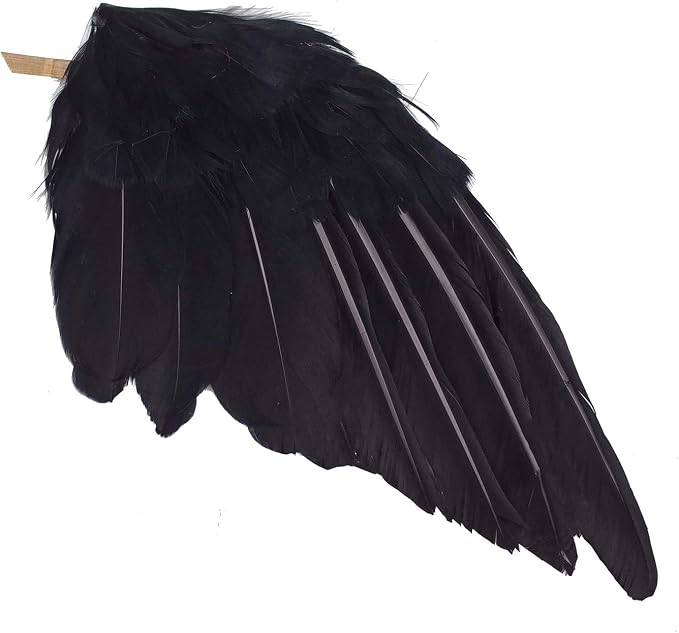 Etistta 2-Pack Realistic Crows Lifesize Extra Large Handmade Black Feathered Crow for Halloween Decorations Birds, L (13 inch+12 inch)