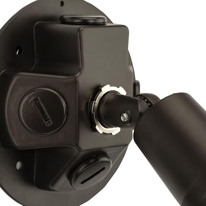 Progress Lighting 1-Light Adjustable Swivel Flood Light, Outdoor, P5202-20, Antique Bronze