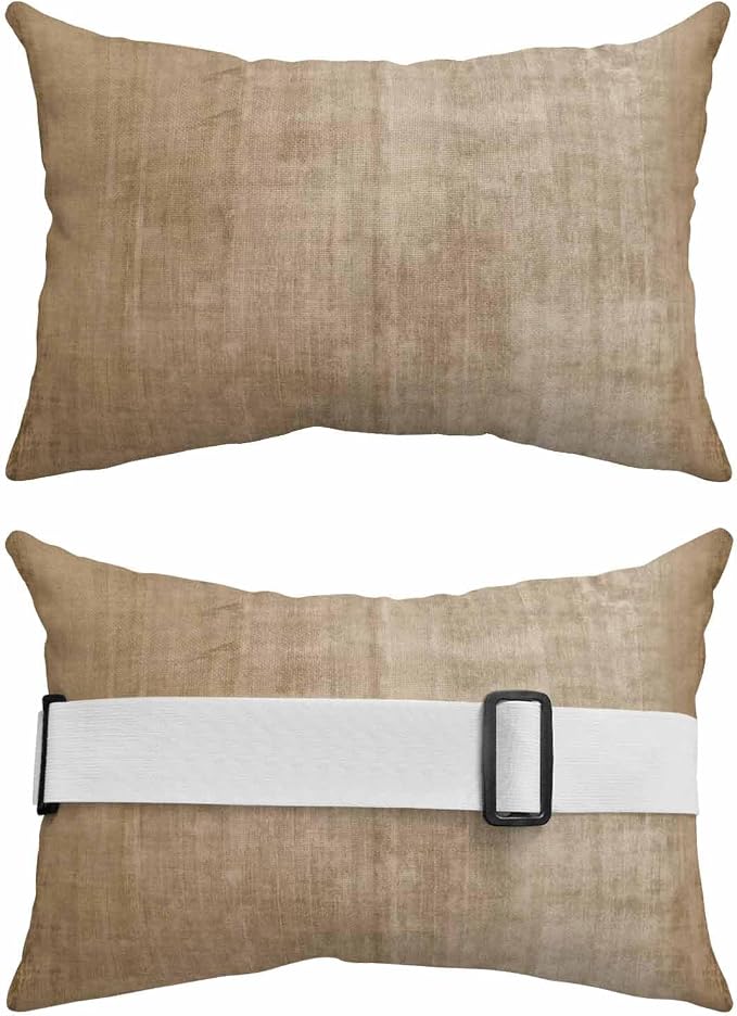 Outdoor Lumbar Pillows 11x16 Set of 2, Vintage Brown Waterproof Throw Pillow Covers with Insert, Modern Abstract Retro Art Decorative Pillowcase Cushion for Couch Sofa Bed