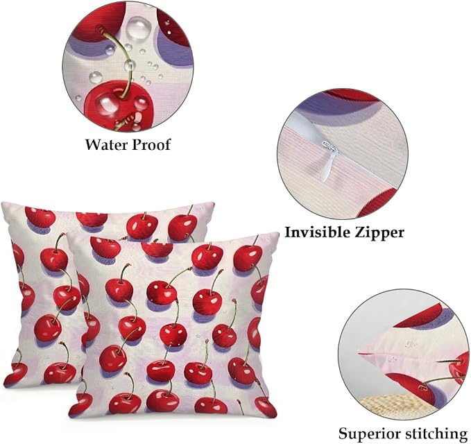 16x16 Inch Outdoor Pillow Covers Set of 2 Waterproof Throw Pillow Covers Decorative Couch Cushion Covers Red Cherry Fruit Square Pillowcases Protectors for Patio Garden Sofa