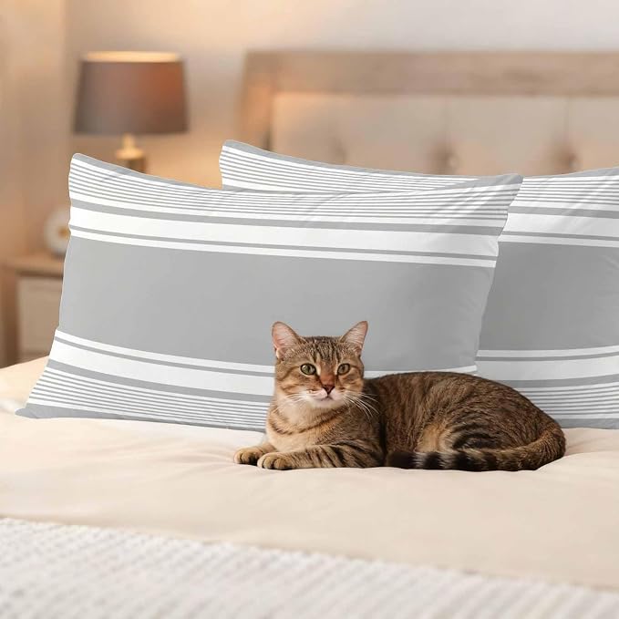 Outdoor Waterproof Throw Pillow Covers, Grey Striped Decorative Pillow Cases, Modern Color Block Farmhouse Stripes Couch Pillow Protector Patio Sofa Cushion Covers Replacement 20"x12" 2 Pack