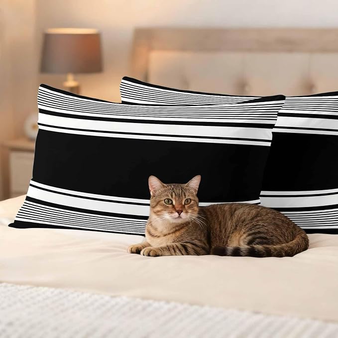 Outdoor Waterproof Throw Pillow Covers, Black Striped Decorative Pillow Cases, Modern Color Block Farmhouse Stripes Couch Pillow Protector Patio Sofa Cushion Covers Replacement 20"x12" 2 Pack