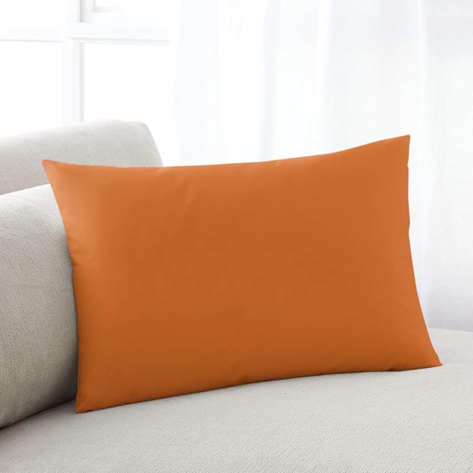 Outdoor Waterproof Throw Pillows Solid Art Minimalist Pure Orange Patio Pillows Pack of 2,Decorative Pillow Covers with Insert,Pillow Cushion Case for Garden Couch Sofa Plain Single Bright Color