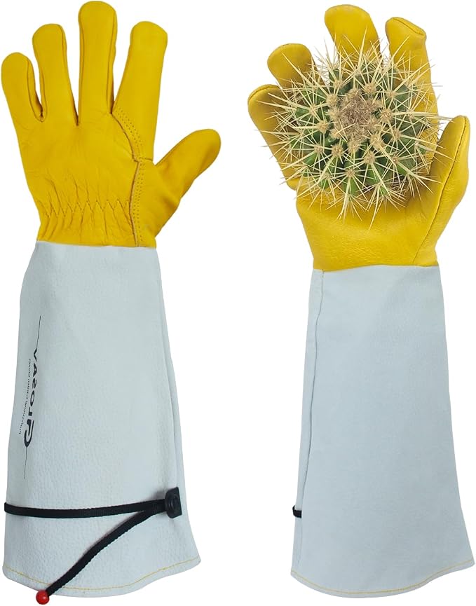 Cactus Garden Gloves (Real Thorn proof), Puncture Proof, Women & Men, Long Leather, Heavy Duty- Great for Gardening, Rose Pruning, Cacti Trimming, Weeding, Pull Thistle, Plant (Small)