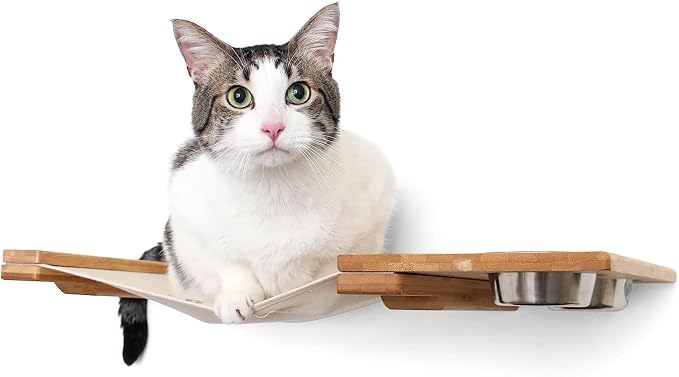 Catastrophic Creations Cat Feeder Lounge w/Cat Hammock — Natural Bamboo Cat Wall Furniture — Wall Mounted Cat Feeder — Highly Customizable, Cat Tested & Approved (41 Inch)