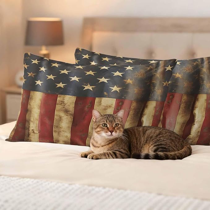 Vintage American Flag Outdoor Pillow Covers Set of 2 USA Patriot Waterproof Throw Pillow Cover Decorative Cushion Cases for Patio Porch Garden 20X12 Inch