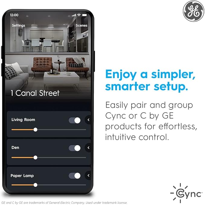 Cync GE Dynamic Effects Color Changing Smart Outdoor String Lights, 48ft | App control, Alexa & Google compatible, color changing patio cafe lights, weather resistant, 48ft, dynamic lighting effects
