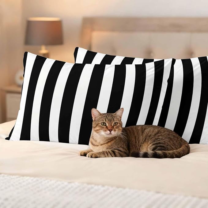 Outdoor Pillow Covers,Black White Geometric Stripe Decorative Throw Pillow Cover Waterproof Pillowcase Set of 2,Linen Cushion Case for Sofa Couch Bed 20x12 Inch,Modern Minimalist Line